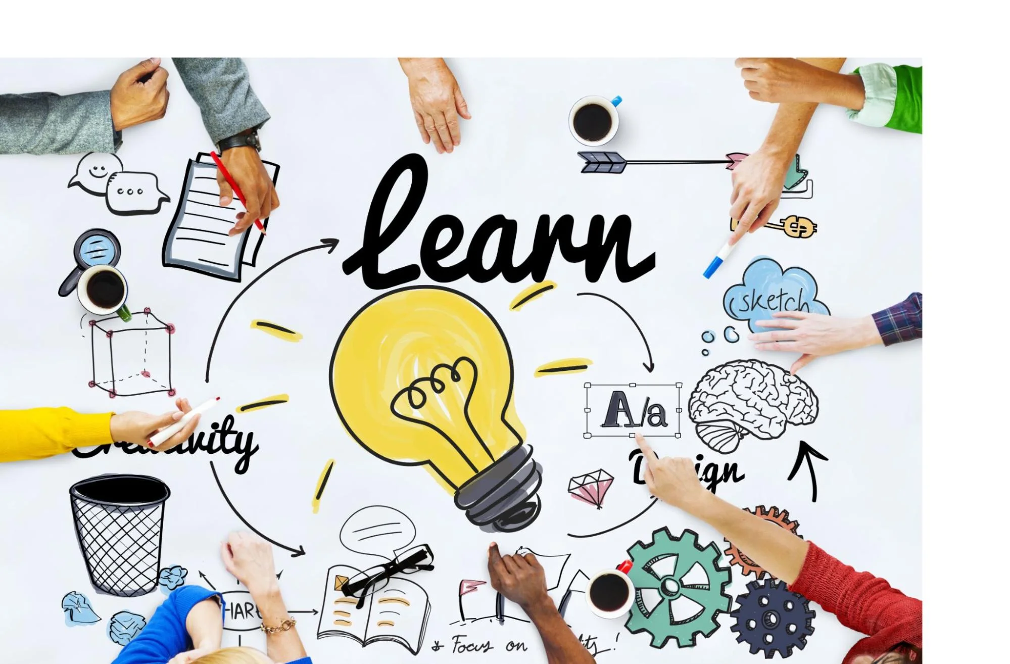 People sharing skills